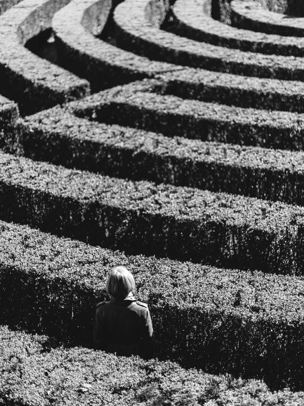 person standing in hedge maze