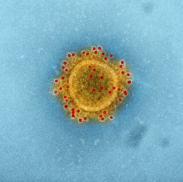 coronavirus